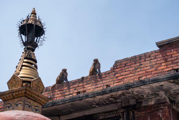 健行行程結束,加德滿都Kathmandu 自由活動、城市巡禮,世界文化遺產景點觀光。本日也為預備天,盧卡拉機場常因天候不佳造成航班停飛,降低小飛機航班延誤而錯過國際班機風險。