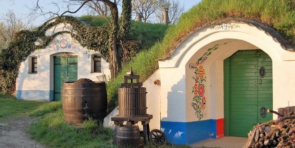 【 摩拉維亞地區 】 傳統酒窖品酒饗宴