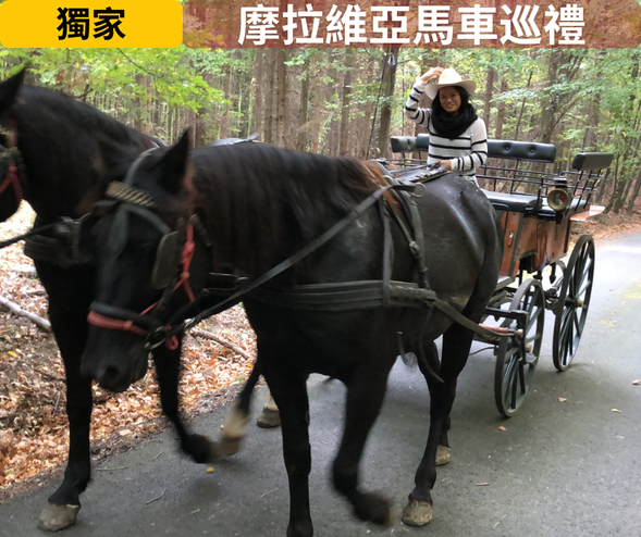 【 Milotice 】郊區馬車之旅