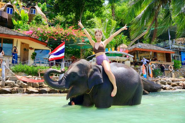 Swim with elephant in the sea