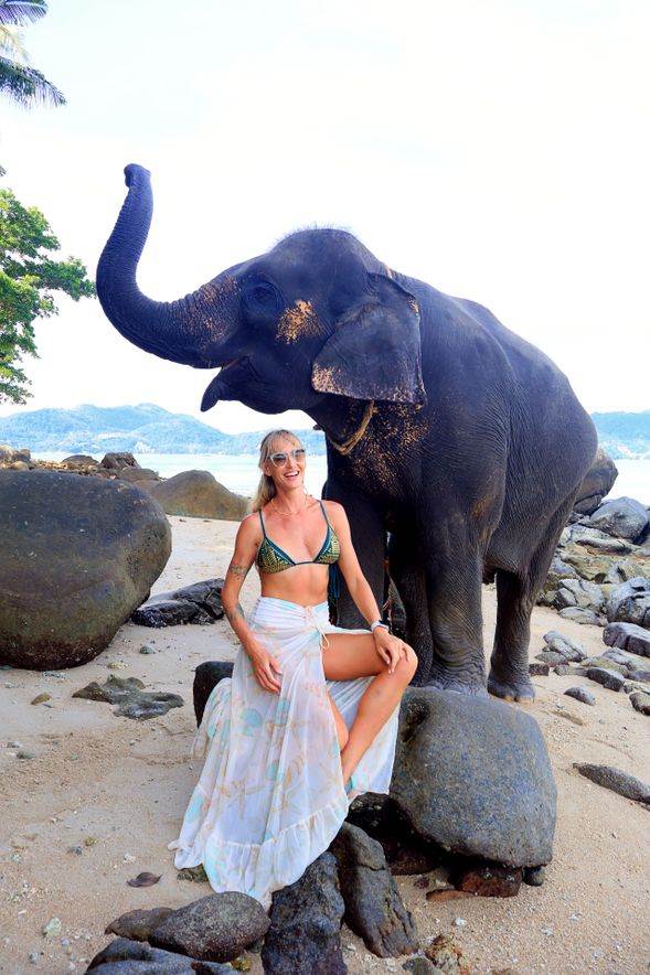 Photo with elephant on the beach