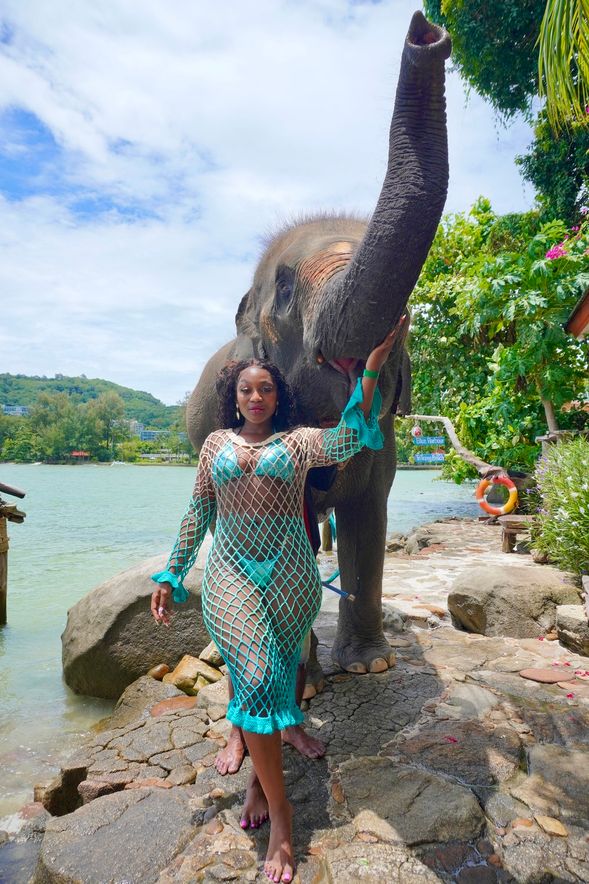Take Photo with elephants (Phuket)