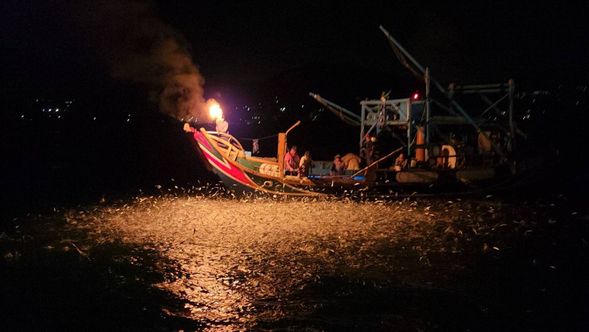 近距離觀看蹦火仔 ~ 磺火捕魚作業
【此照片版權為晉龍號遊艇船隊所有,未經同意請勿盜用】