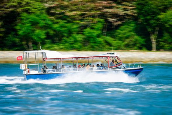 A 60-minute speedboat adventure through the scenic waters of Singapore's Southern Islands. Explore the stunning coastlines of Sentosa, discover hidden gems like Lazarus Island and St. John's Island and enjoy breathtaking views of the Lion City from the sea.