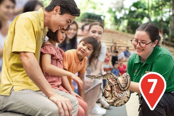 Newest animal presentation
Meet iconic animals, from our Ring-tailed lemur to the Indian Crested Porcupine as we discover the remarkable lives of creatures from around the globe.
