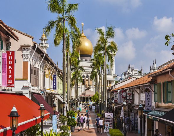 这条步行街通向标志性的苏丹清真寺,周围环绕着棕榈树,是各地 Instagrammars 最爱的去处。