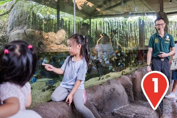 Meet the Experts!
Come see our animals in action and learn fascinating facts from our keepers at the guided trails.