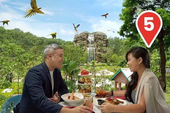 Dine with a View
Take in the panoramic view of our waterfall and watch colourful macaws in flight — all while enjoying a meal above the serene wetlands.