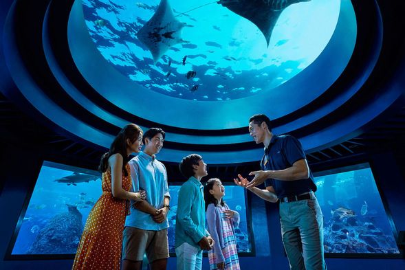 Get ready to explore groundbreaking zones that illuminate the ocean’s past, present and beyond. More than discovery, this is where immersive storytelling, marine science and action inspire real-world change.