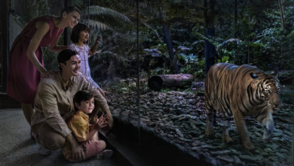 Uncover the wonders of the nocturnal animal kingdom at the world’s first night wildlife park. Get on a multi-sensory journey across six geographical regions under the moonlight. Be enthralled by a pride of lions basking under the illumination of a full moon. Get up close to the free-ranging Malayan tapirs and meet Chawang the Asian bull elephant as you ride on board the renowned Night Safari Tram.Let the guide take you on a walking trail to view some animals at close quarters.