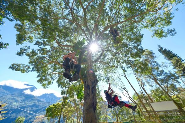 森林超遊感|在專業引導下向上挑戰,從不同高度重新看見森林與自己!