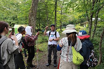 11:00 ひろしま県民の森
比婆山トレッキング