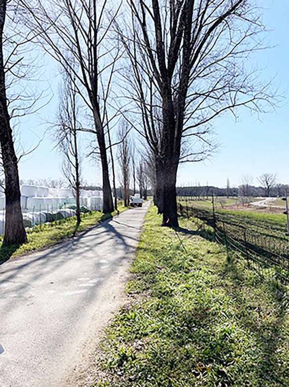 七塚原畜産センター