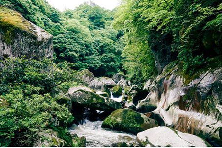 10:40 鬼の舌振
国の名勝・天然記念物