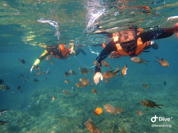 繽紛的海底世界