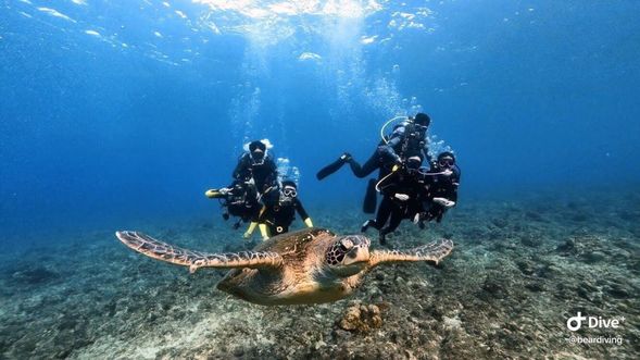 於活動前 10 分鐘抵達集合地點