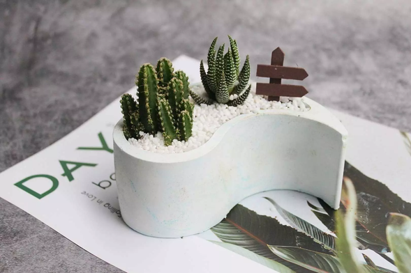 微景觀多肉暈染石盆