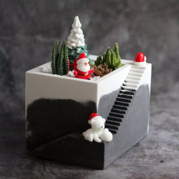 冷杉擴香雪景觀多肉盆