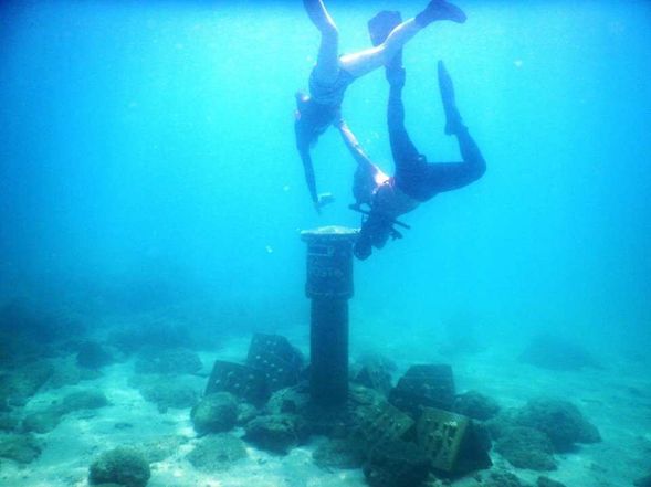 海底郵筒投遞明信片 (防水明信片需額外購買)