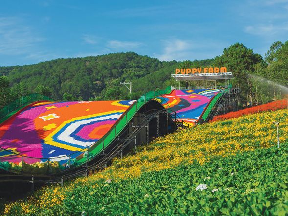 大叻狗狗農場(Puppy Farm):適合親子旅客與愛狗人士,可以與狗狗互動並享受自然風景。