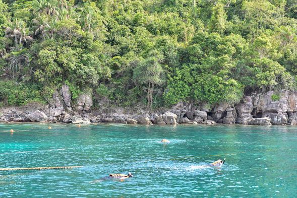 浮潛觀賞水深 1m-3m 的天然珊瑚