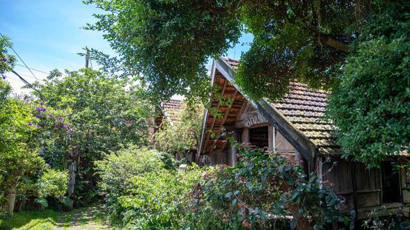 探索邦美蜀 Arul Coffee & Bar,不只賣咖啡,更有細膩擺盤與原民風味交織的視覺饗宴