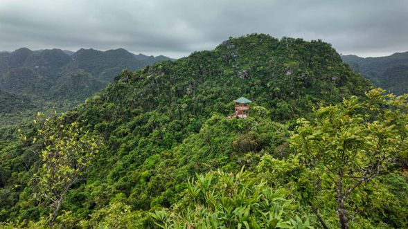 吉婆島公園坐擁豐富原始熱帶雨林,探索世界生物圈保護區。