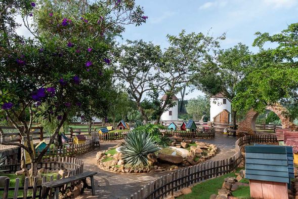 大叻蒙古世界:在廣闊草地上滑草感受速度快感;五彩繽紛的彩虹滑道適合全家同樂;可愛動物區可近距離餵食小羊、小兔等溫馴動物。