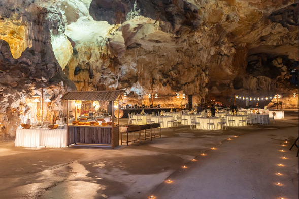 午晚餐美食極致饗宴