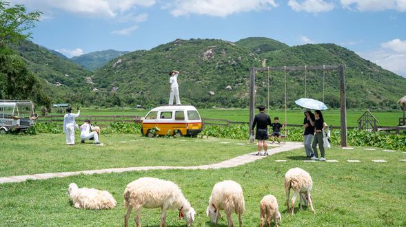 親親綿羊園 < 行程順序由導遊與客人協商調整>