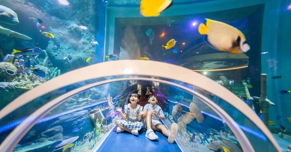 珍珠奇幻樂園VinWonders Phu Quoc(海王宮巨龜水族館)