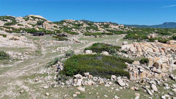 08:30 - 12:00 期間行程 :地質公園(電動車接送)