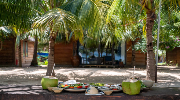 椰子樹下吊床午覺