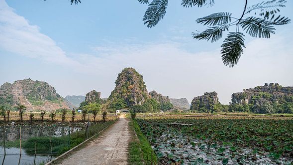 候鳥生態園區(含遊船)