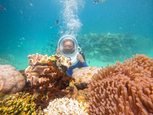 Seawalker 海上漫步服務和海上運動(自費)