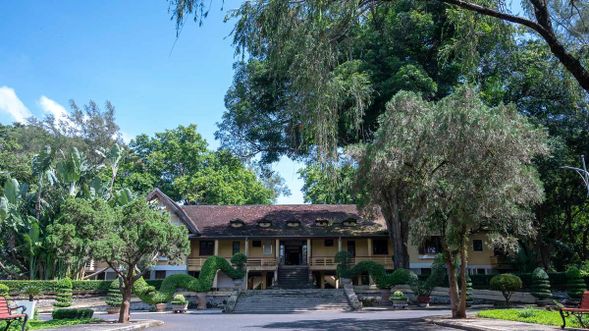 保大宮的園區內,最引人注目的是入口兩側對稱種植的兩棵百年樟樹,其樹根周長約8公尺,也被認定為越南遺產樹。