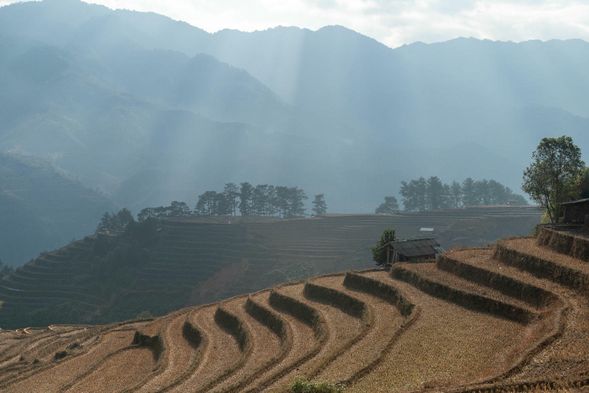 整個Mù Cang Chải的面積很遼闊且山勢陡陗