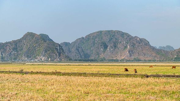 結束行程返回河內