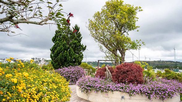 大叻茶園(Dalat Tea Plantation):可參觀採茶、製茶過程,並在茶館品嚐新鮮茶飲。清晨時分雲霧繚繞,景色夢幻。
