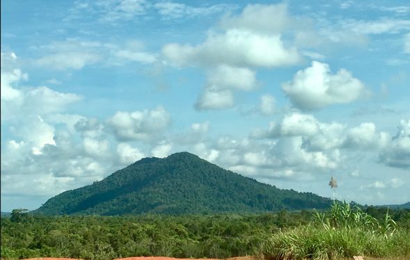 Mount Bintan – 340 meter from land level, the highest mountain peak in Bintan.