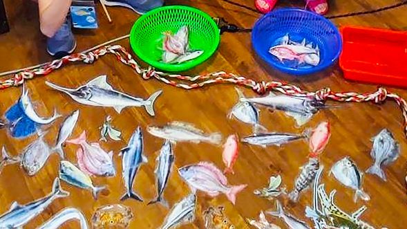 釣魚小學堂──透過遊玩的方式來輕鬆認識魚類。