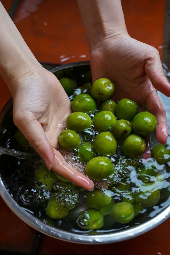 清洗梅子