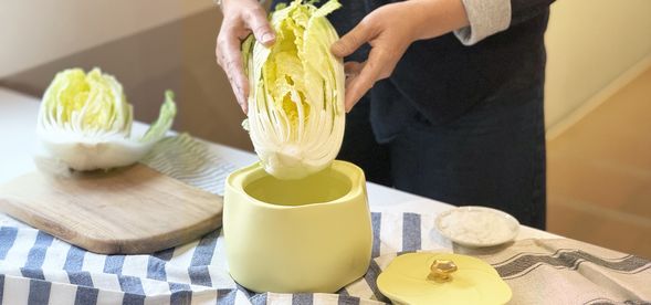 入甕|層層放入白菜,適當壓重去除空氣並封存