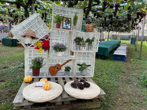 葡萄樹下佈置~圖為2022年拍攝