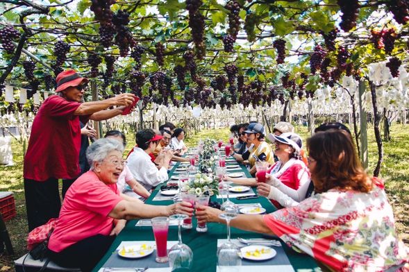 葡萄樹下~美好時光