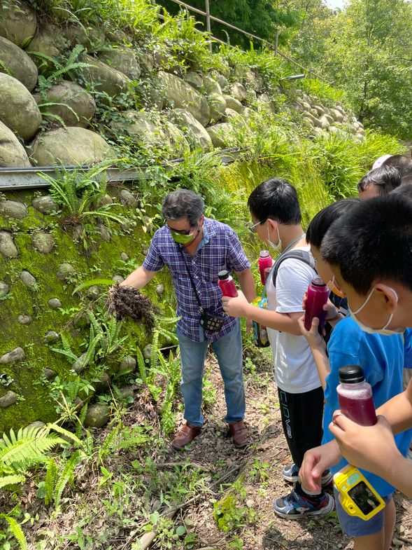 採集植物-拓印DIY