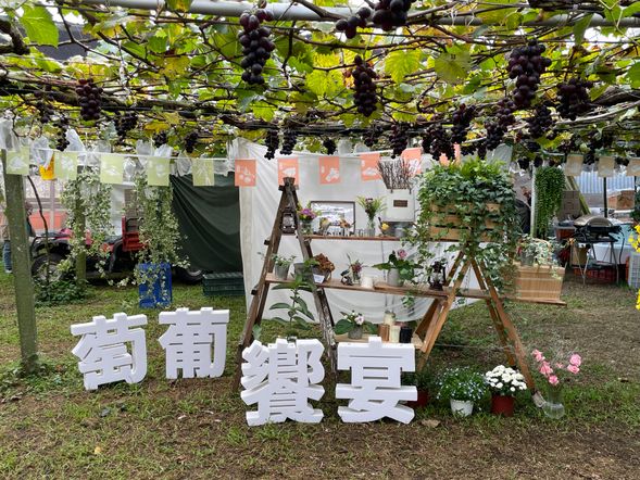 葡萄樹下佈置~圖為2022年拍攝
