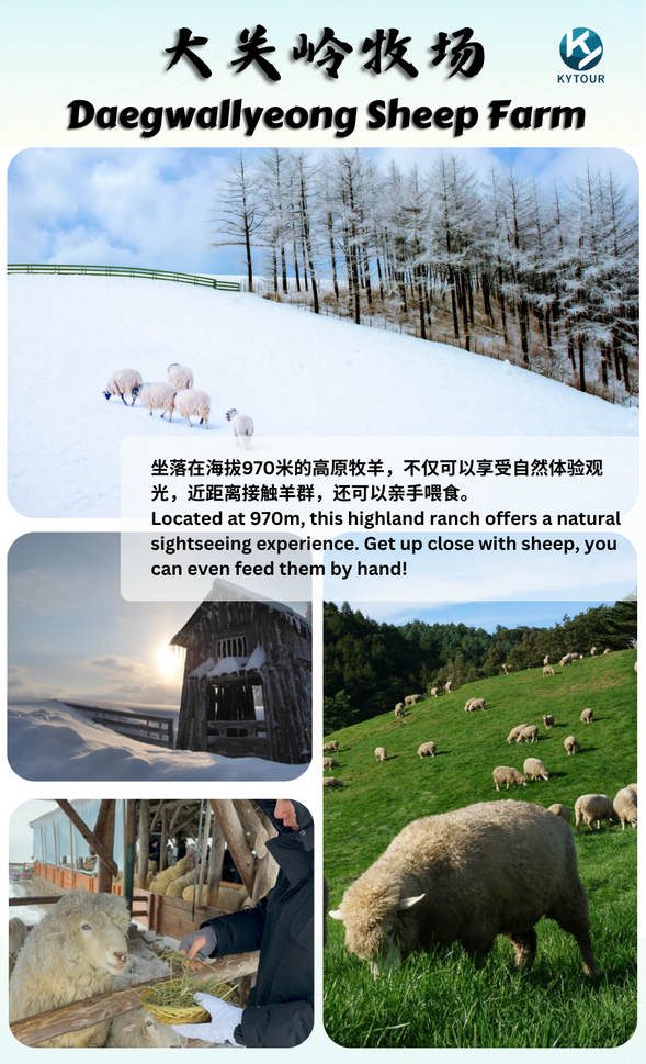 Daegwallyeong Sheep Farm