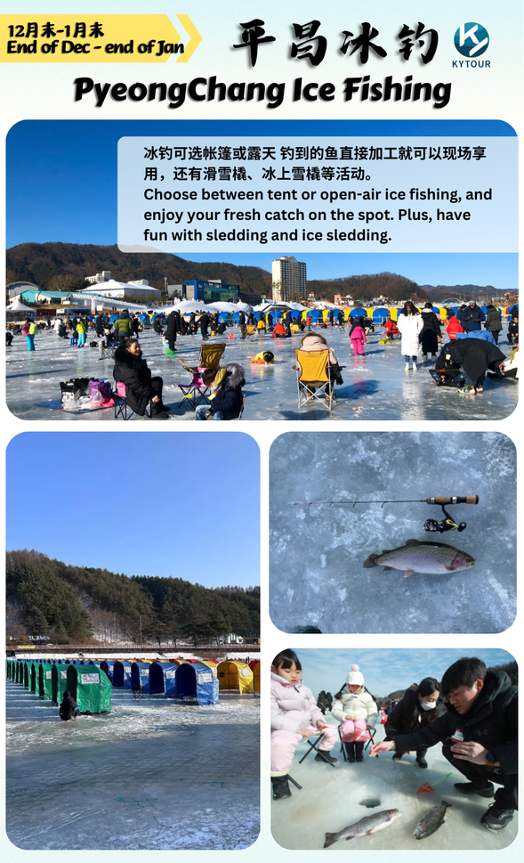 Pyeongchang Ice Fishing