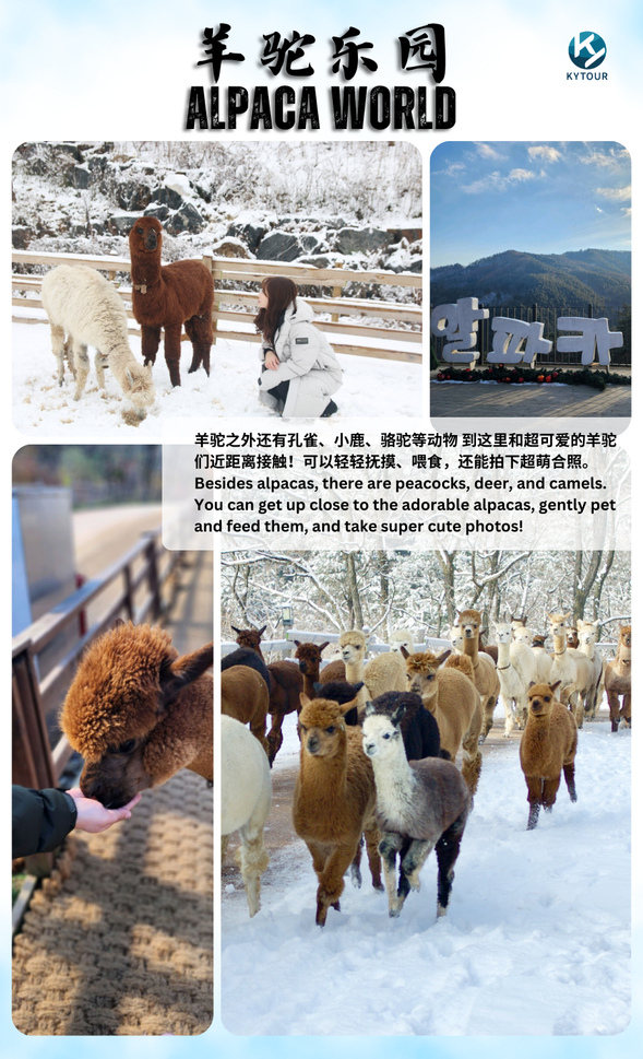 Alpaca World